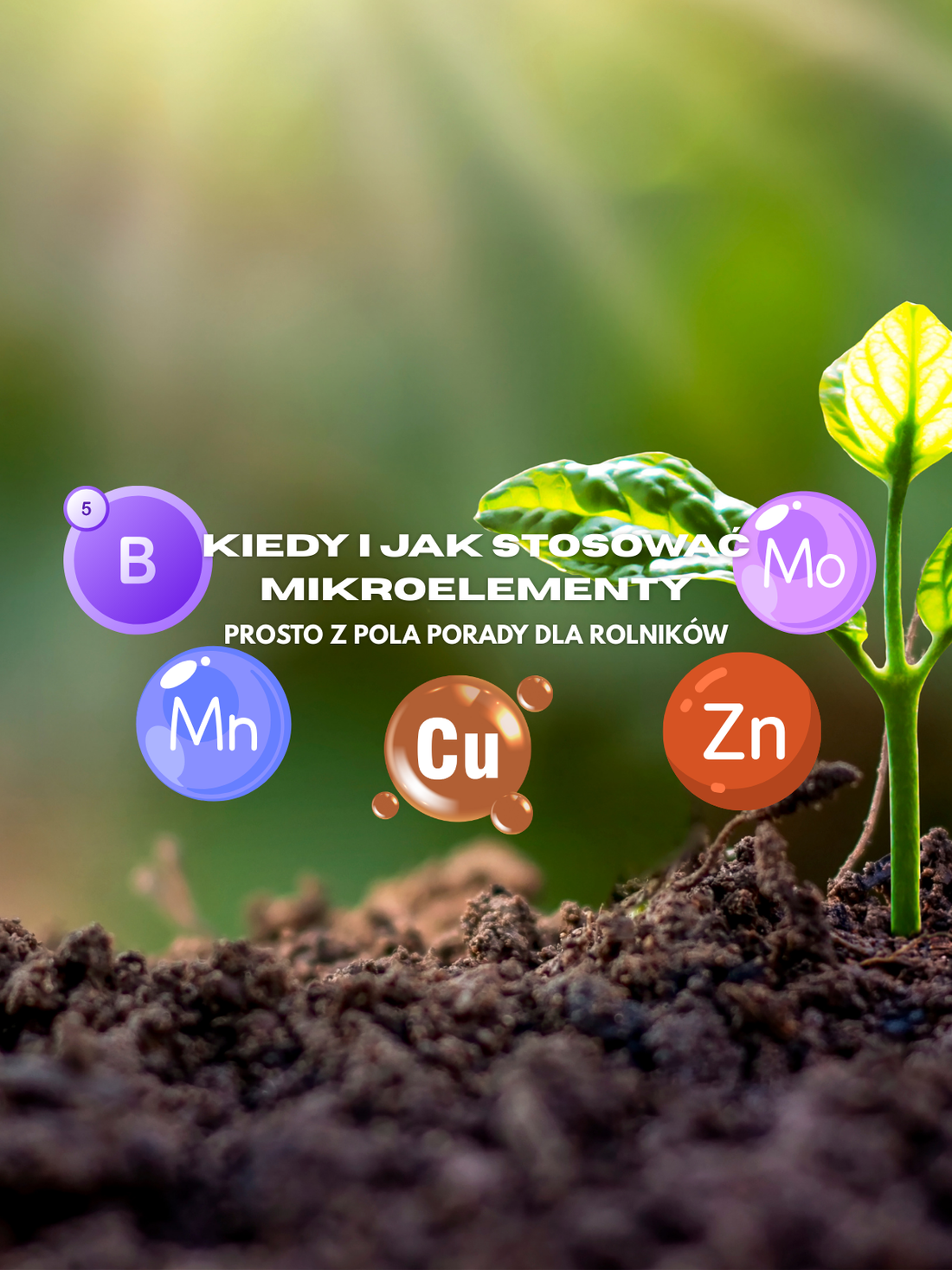Infografika z młodą rośliną wyrastającą z gleby, otoczona ikonami mikroelementów: bor (B), mangan (Mn), miedź (Cu), cynk (Zn), molibden (Mo); tytuł: Kiedy i jak stosować mikroelementy – prosto z pola porady dla rolników