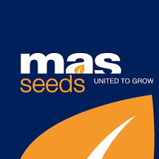 MAS Seeds