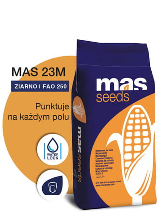 Kukurydza MAS 23M