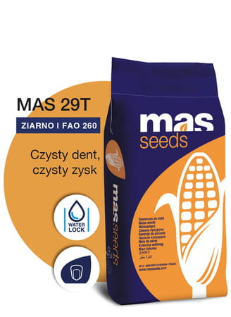 Kukurydza MAS 29T