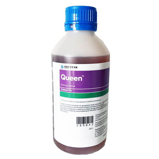 Queen 1 L