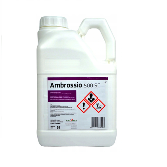 Ambrossio 500 SC 5 L – środek chwastobójczy uniwersalny