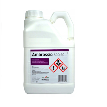 Ambrossio 500 SC 5 L