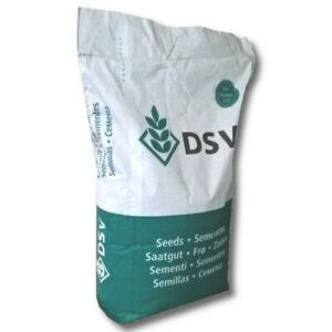 Trawa DSV 230 10 KG